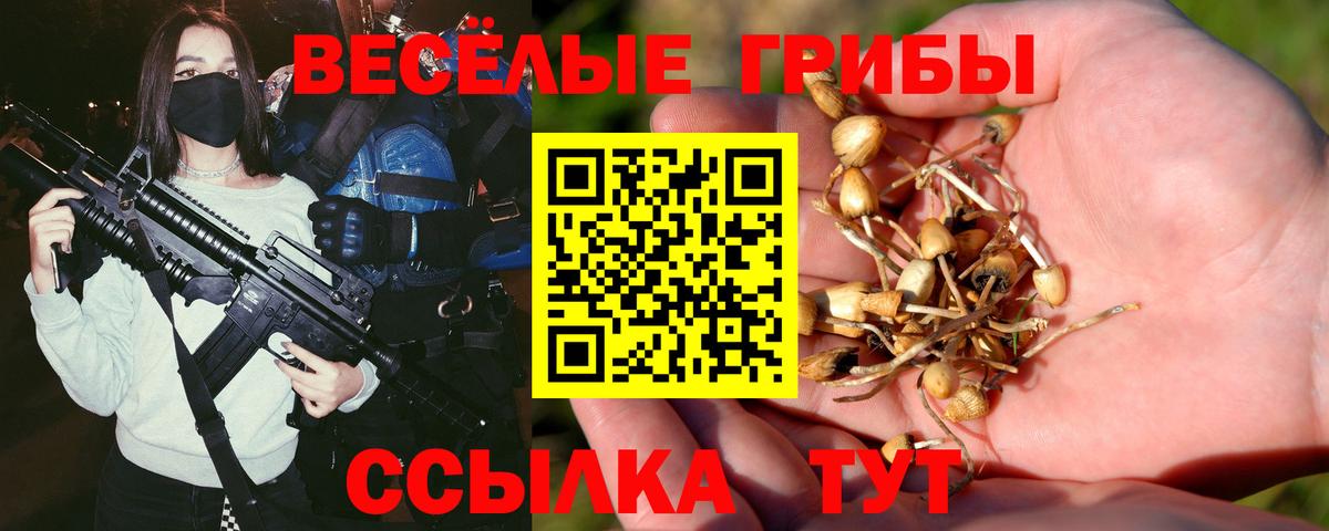 как найти закладки  Галлюциногенные грибы GOLDEN TEACHER  Вход с VPN  Северобайкальск 